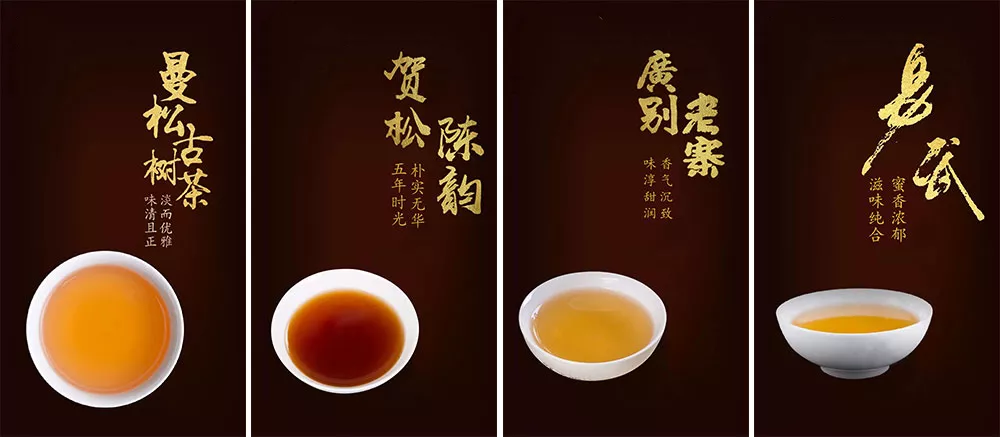 受疫情影响云尊龙凯时人生就是博南茶农被迫直销普洱茶一斤也是批发价